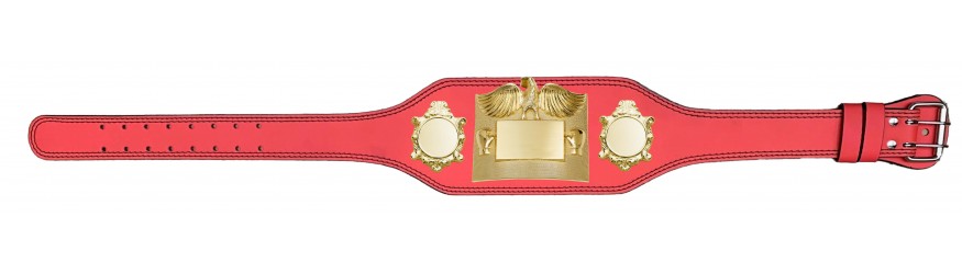 SMALL GOLD EAGLE CHAMPIONSHIP BELT - PLT299/G -4 COLOURS - BLACK, RED, BLUE, GREEN SMALL GOLD EAGLE CHAMPIONSHIP BELT - PLT299/G -4 COLOURS - BLACK, RED, BLUE, GREEN